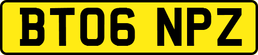 BT06NPZ