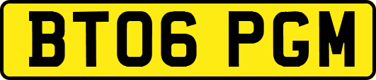 BT06PGM