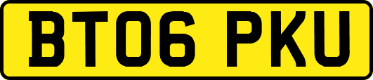BT06PKU