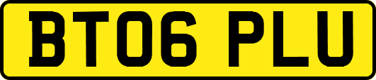 BT06PLU