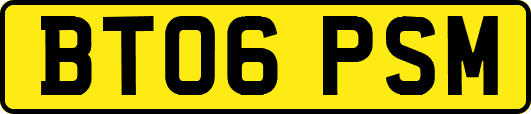 BT06PSM