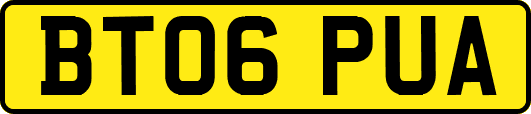 BT06PUA