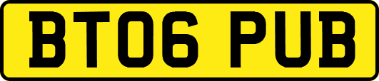 BT06PUB