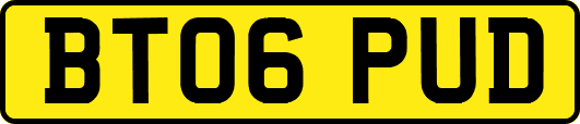 BT06PUD