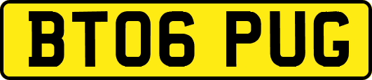 BT06PUG