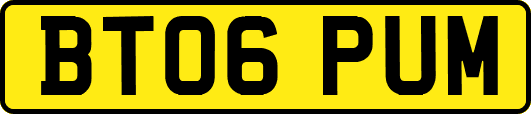 BT06PUM