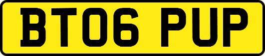BT06PUP