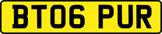BT06PUR