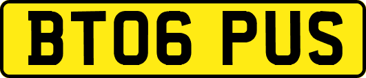 BT06PUS