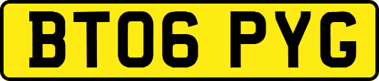 BT06PYG