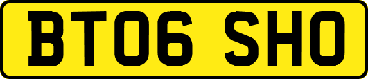 BT06SHO