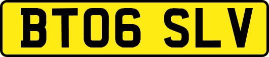 BT06SLV