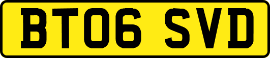BT06SVD
