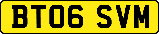 BT06SVM
