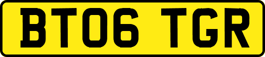 BT06TGR