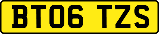 BT06TZS