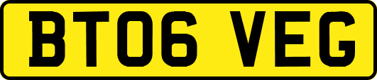 BT06VEG