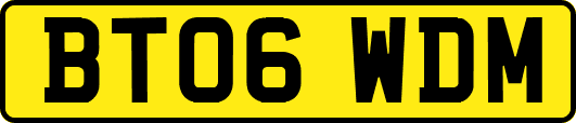 BT06WDM