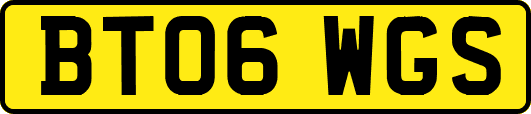 BT06WGS