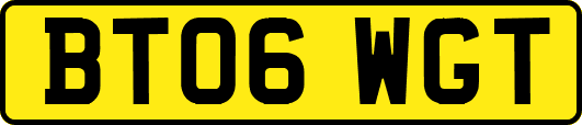 BT06WGT