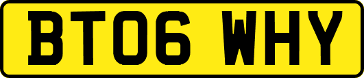 BT06WHY