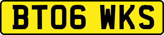 BT06WKS