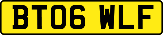 BT06WLF