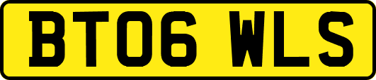 BT06WLS