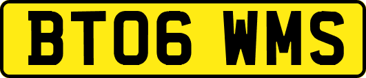 BT06WMS