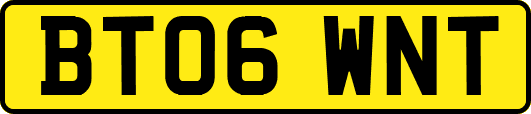BT06WNT