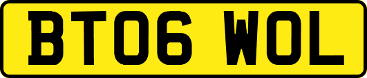 BT06WOL