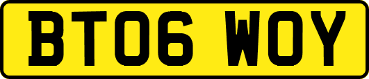 BT06WOY