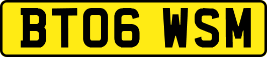 BT06WSM