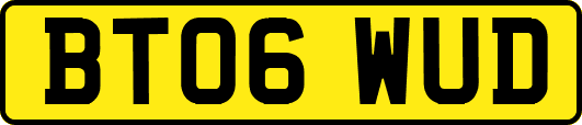 BT06WUD