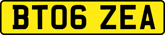 BT06ZEA