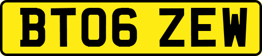 BT06ZEW