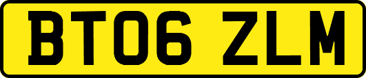 BT06ZLM