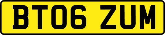 BT06ZUM