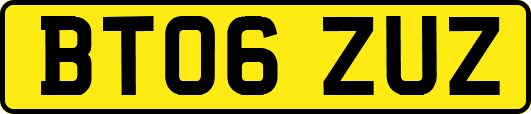 BT06ZUZ