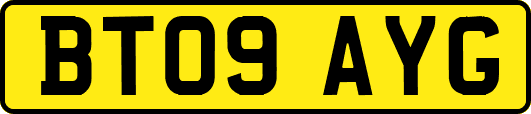 BT09AYG