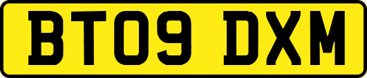 BT09DXM