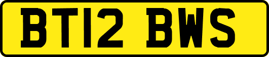 BT12BWS