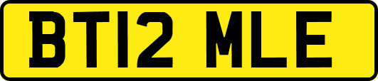 BT12MLE