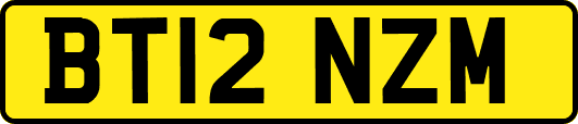 BT12NZM