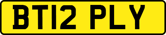 BT12PLY