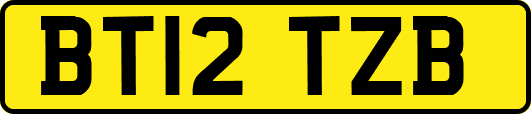 BT12TZB