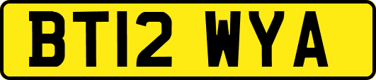 BT12WYA