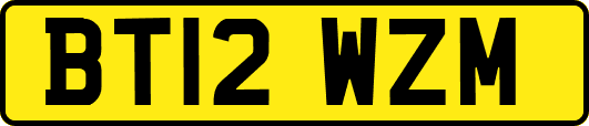 BT12WZM