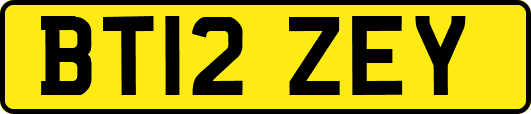 BT12ZEY