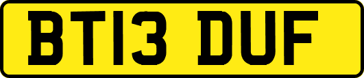 BT13DUF